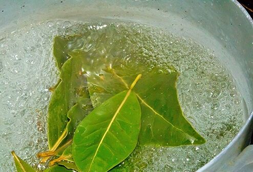 Etkili problemler için rahatlatıcı bir banyo için defne yaprağı kaynatma