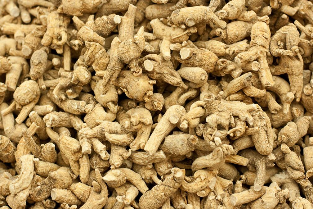 gücü artırmak için ginseng kökü